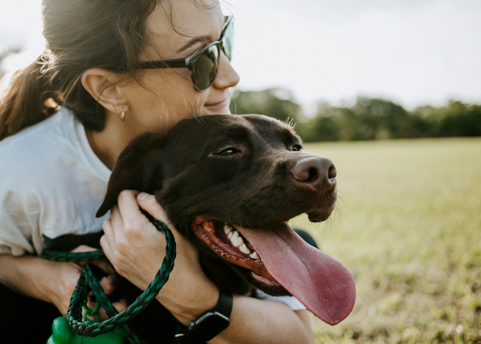Maîtresse complice avec son chien lors d'une sortie éducative